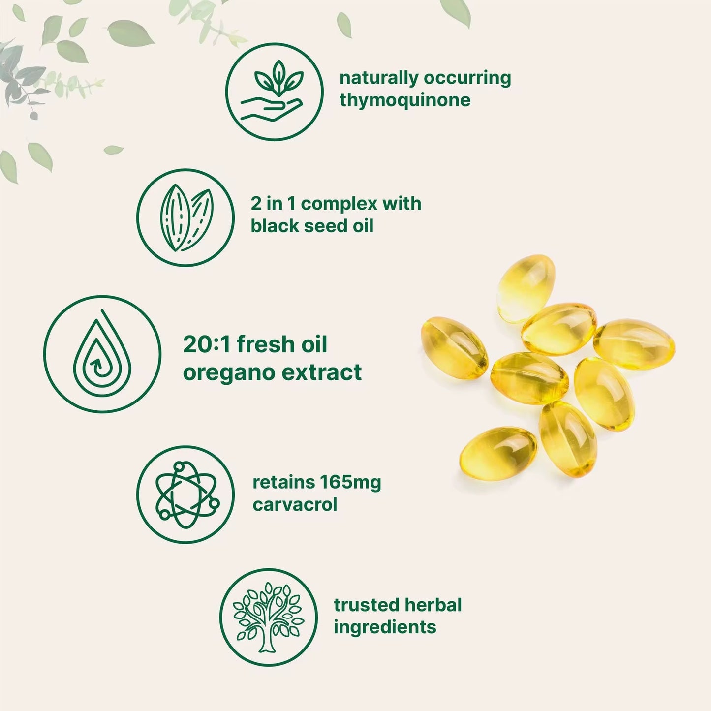 Oregano oil